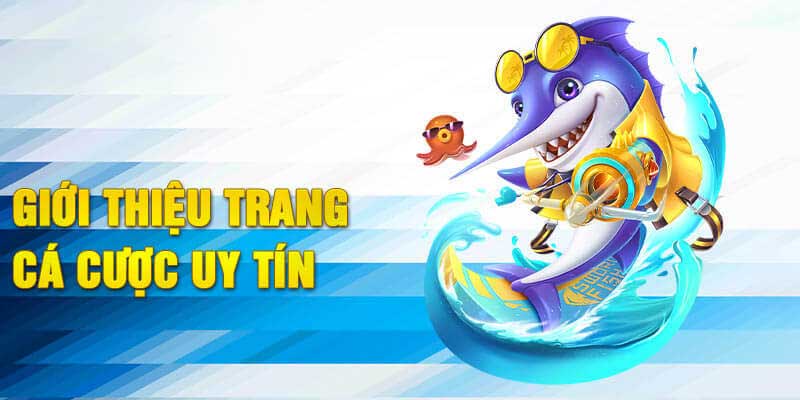 Giới thiệu nhà cái trực tuyến 188V với những thông tin sơ lược
